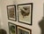 1917 Vintage DuPont Promotional Game Bird Framed Prints by Hunt & DeFeo - Set of 4 For Sale - Image 4 of 13