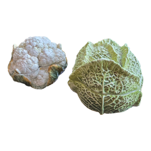Cabbage and Cauliflower Covered Dishes