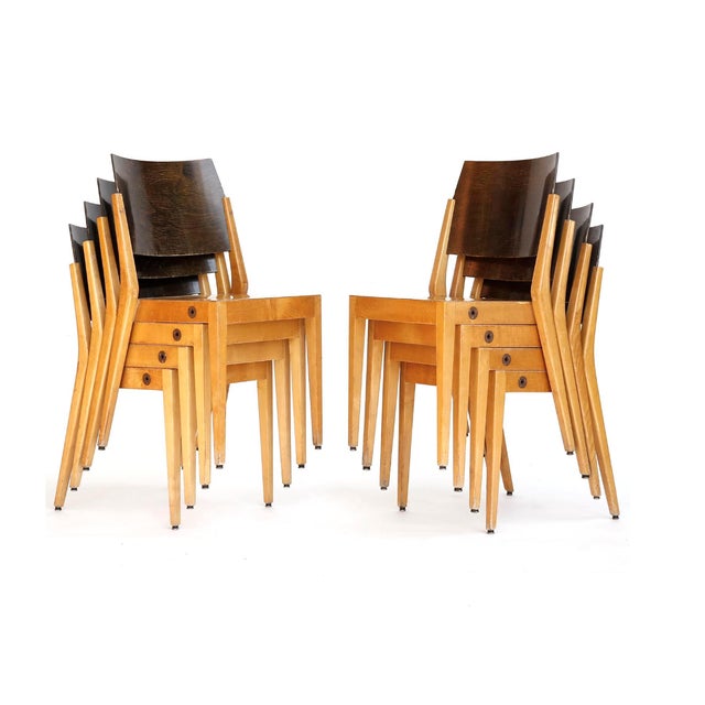Thonet Set of 8 Stacking Chairs by Karl Schwanzer, Thonet, Bicolored Wood, Austria, 1953 For Sale - Image 4 of 9