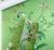 Not Yet Made - Made To Order Hand Painted Green Chinoiserie Floral & Bird Mural Panels (5-Piece Set) For Sale - Image 5 of 6