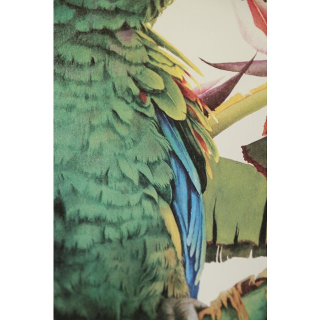 Tropical Parrot Limited Edition Print by Pam Mark 'Birds of Paradise' in Faux Bamboo Frame For Sale - Image 10 of 18