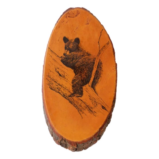 Vintage Barry Nehr Bear Cub Wood Slice Wall Hanging For Sale