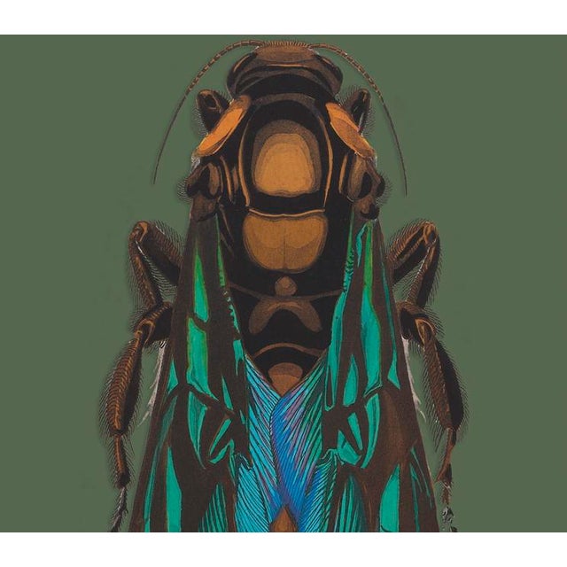 The series was produced by CFA editions from original pochior prints by E.A. Seguy. The series of insects that Seguy...