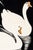 A serene study of two white Chinese geese gliding through dark reflective waters beneath graceful reeds. Reproduced from a...