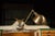 1910s–1920s Industrial Watchmaker's Workbench With Faries Brass Lamp For Sale In Chicago - Image 6 of 7