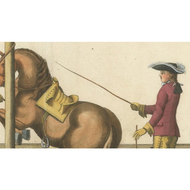 Paper William Cavendish, Dressage Horse Training, Newcastle Riding School, 1700s, Engraving For Sale - Image 7 of 12