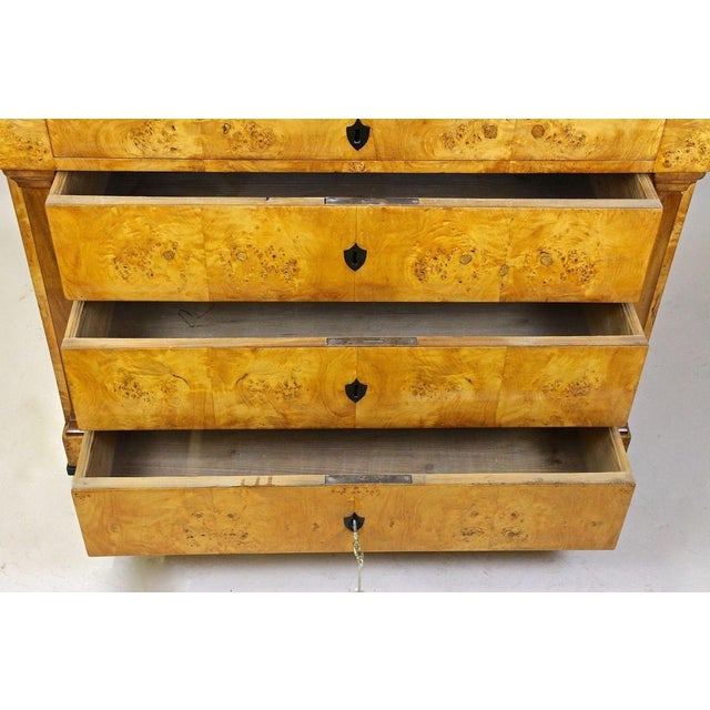 19th Century Biedermeier Birdseye Maple Chest of Drawers, Germany, 1840s For Sale - Image 6 of 18
