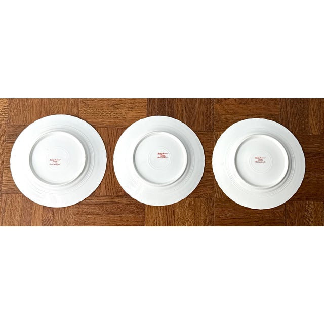 Antique Haviland Limoges Plates - Set of 3 For Sale In New York - Image 6 of 10