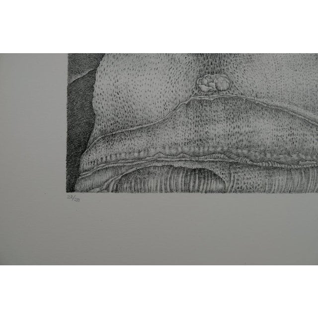 Gochka Charewicz, La tour, Lithograph For Sale - Image 6 of 8