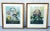 Vintage Set of Two Dr Robert John Thornton Botanical Prints, the Tulips & the Pontic Rhododendron For Sale In San Diego - Image 6 of 12