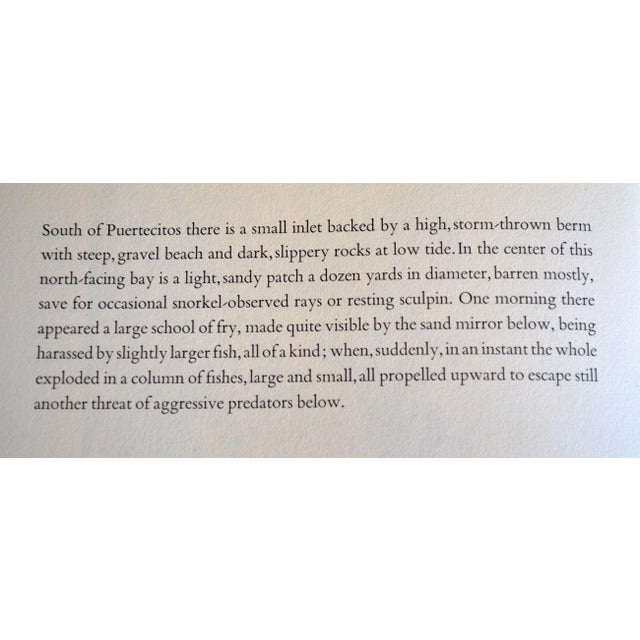 1963 Abstracted Woodcut Landscape of Baja California by Edgar Dorsey Taylor Print For Sale In Monterey, CA - Image 6 of 7