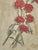 Antique Botanic Oil Painting of Red Carnations, Late 19th Century For Sale - Image 4 of 8