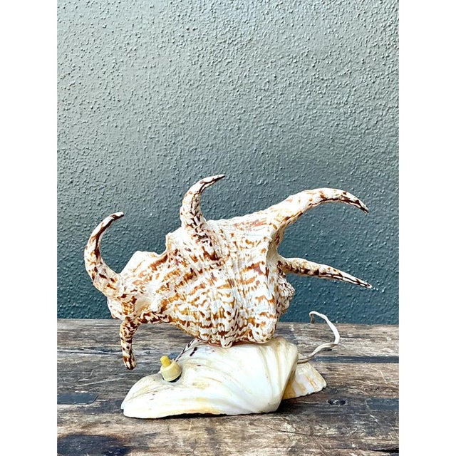 Vintage Spiked Shell Vanity Lamp For Sale - Image 10 of 12