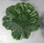 Ceramic Mid-Century Set of 6 Green Cabbage Luncheon Plates by Secla Portugal For Sale - Image 7 of 18