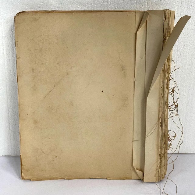 Victorian Rare Book Thomas G. Gentry Nests and Eggs of Birds of the United States For Sale - Image 3 of 16