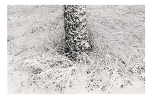 Baltic Freeze #2 - Black and White Analogue Landscape Photography 42 X 27 Cm 2022