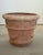 19th Century 19th Century Pair of Terracotta Planters / Jardinieres For Sale - Image 5 of 9