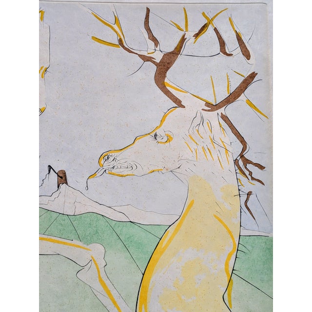 Salvador Dali, Horse Who Wanted to Take Revenge on the Deer, 1974, Drypoint Etching and Stencil, Framed For Sale - Image 8 of 14
