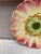 Delphin Massier Majolica Pink Flower Plate, Delphin Massier, Circa 1890 For Sale - Image 4 of 5