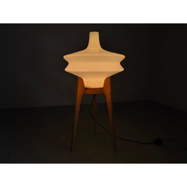 Mid-Century Modern Sculptural Floor Lamp with Glass Shade, 1970s For Sale - Image 10 of 11