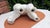 1980s Vintage Italian Porcelain Dog, 1970s For Sale - Image 5 of 8