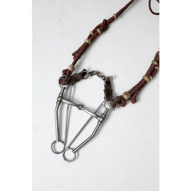 Brown Vintage Horse Bridle For Sale - Image 8 of 12