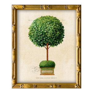 Framed Reproduction Vintage "Topiary Garden (2)" Art Print