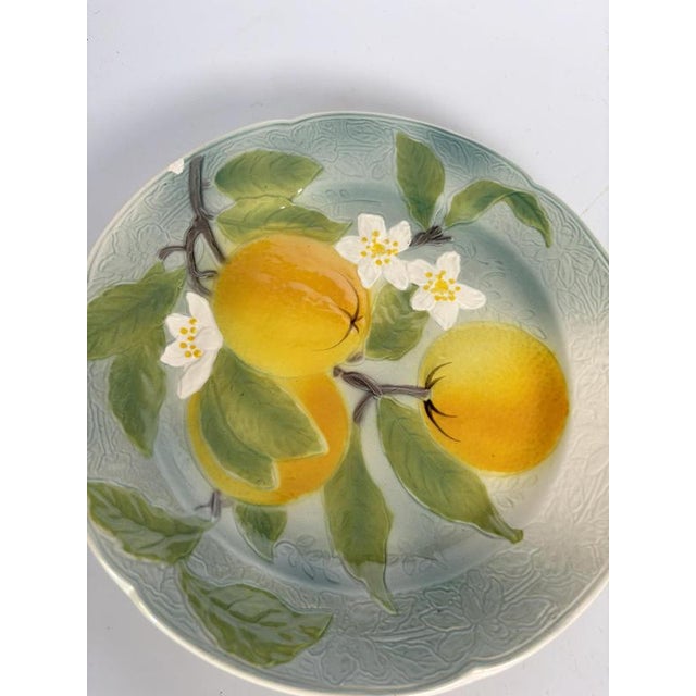15th Century & Earlier Majolica Plates, France, 20th Century, Set of 2 For Sale - Image 5 of 15
