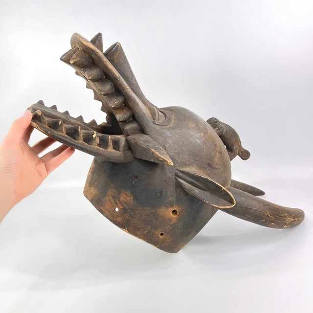 Early 20th Century Senufo Firespitter Helmet Mask Côte d'Ivoire For Sale - Image 9 of 9