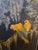 Mid 20th Century Vintage Handpainted Screen/Room Divider - Double Sided For Sale - Image 5 of 14