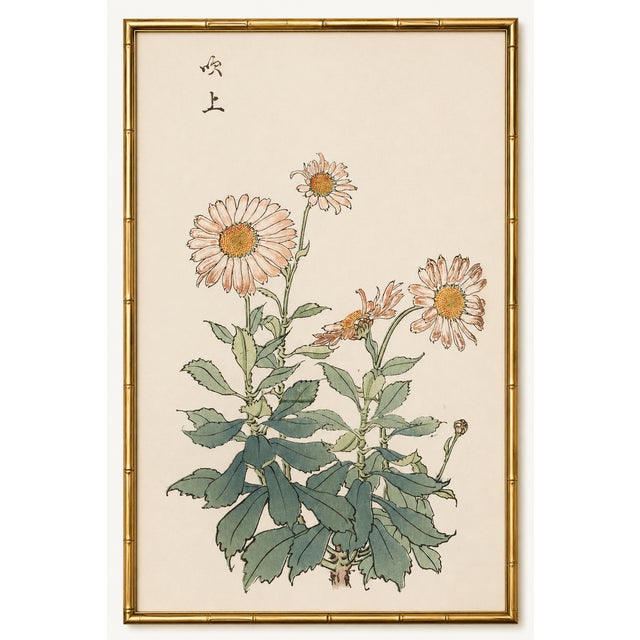 Daisy by Keika Hasegawa, Vintage Japanese Botanical Art Print, 24" X 36" For Sale In Buffalo - Image 6 of 10