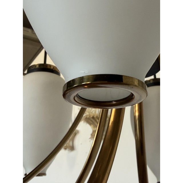 1950s Six-Light Chandelier with White Opaline Diffusers by Bruno Gatta for Stilnovo, 1950 For Sale - Image 5 of 12