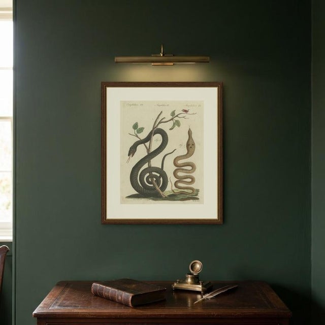 Bertuch, Black Snake with Hummingbird, 1805, Print For Sale - Image 10 of 12