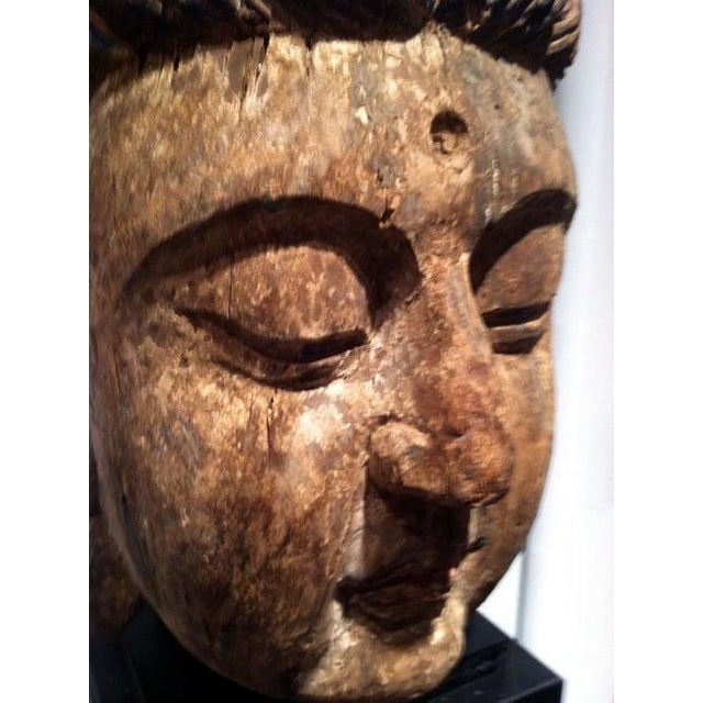 Chrome Large Wood Sculpture of Boddhisatva Head Ming Dynasty For Sale - Image 8 of 17