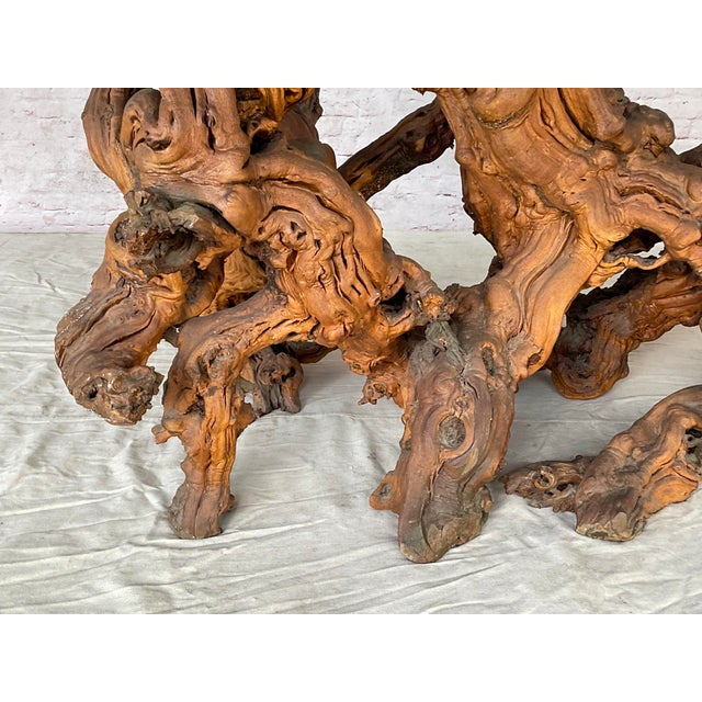 Wood Vintage Sculptural Natural Burlwood Root Dining Table With Rectangular Glass Top For Sale - Image 7 of 18