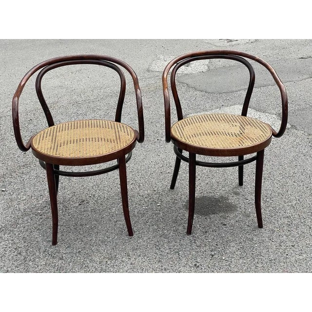 1950s Set of Dining Armchairs by Thonet for Ligna, 1950s For Sale - Image 5 of 12