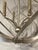 2020s Currey & Company Silver Orb Roussel Chandelier For Sale - Image 5 of 5
