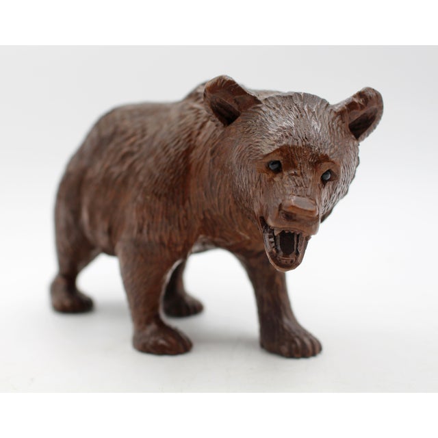 Circa 1900 small-medium size strolling Black Forest Bear, Swiss. Rich brown color. Very good face - small, bead eyes....