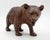 Circa 1900 small-medium size strolling Black Forest Bear, Swiss. Rich brown color. Very good face - small, bead eyes....