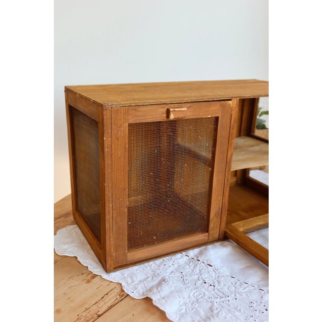 1950s Wooden Pantry with Metal Wire Mesh, 1950s For Sale - Image 5 of 9