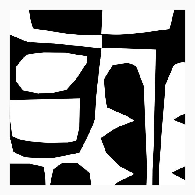 Contemporary White on Black Forest Fine Art Print 20" X 25" by Liz Roache For Sale - Image 3 of 6