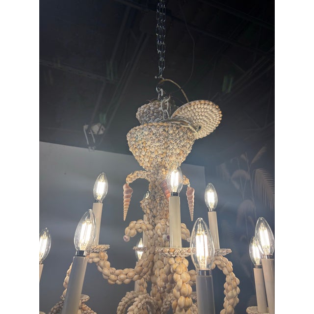 Shell Vintage Coastal Shell Seashell Encrusted Coastal Palm Beach 12 Light Chandelier For Sale - Image 7 of 12