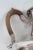 Early 20th Century Silver Plated Swan Neck Tea Coffee Pot Tapered Baluster With Wood Handle For Sale - Image 11 of 16