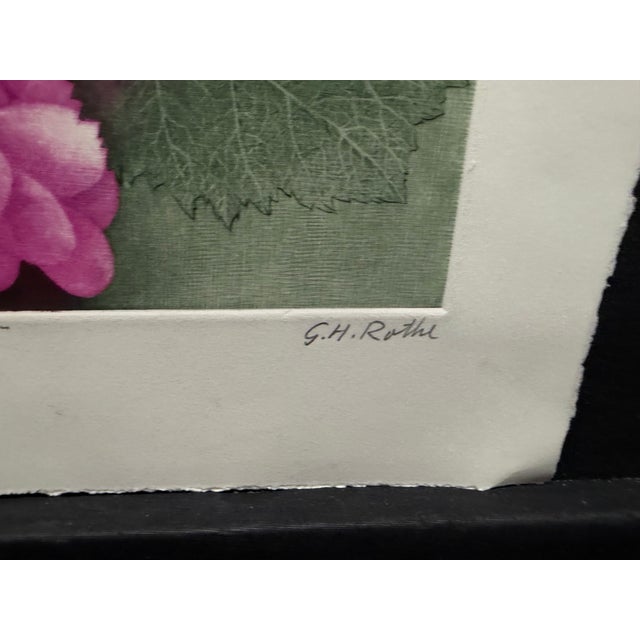 1990s G H Rothe Grapes II Art Original Mezzotint Etching, Mint Condition For Sale - Image 5 of 7