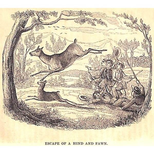 HAMILTON, Maxwell [387] pp. Richard Bentley 1838 Second/ New Edition 6 3/4" x 4 1/2" Contemporary half red calf and...