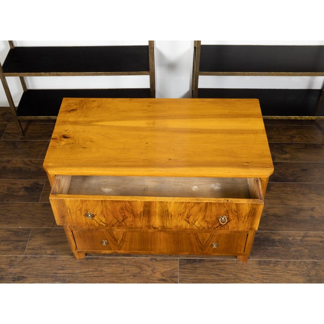 Austrian 19th Century Biedermeier Commode with Three Butterfly Veneered Drawers For Sale - Image 10 of 12