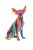 Interior Illusions Plus Graffiti Chihuahua - 10" Tall For Sale