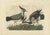 Sepp & Nozeman, Northern Lapwing, 1770, Paper For Sale