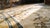 Beige 1870s Beige Medallion Floral Antique Chinese Ningxia Rug 5'0" X 8'0" Handknotted Wool Carpet For Sale - Image 8 of 9