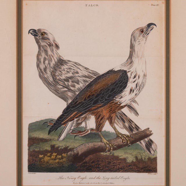 Traditional John Pass After Reinhold Eagle Engravings, c.1805 - Set of 2 For Sale - Image 3 of 6
